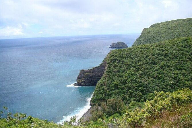 Oahu Grand Circle Island Experience from Waikiki - Green World Coffee Farms: small tastes to wrap up the day