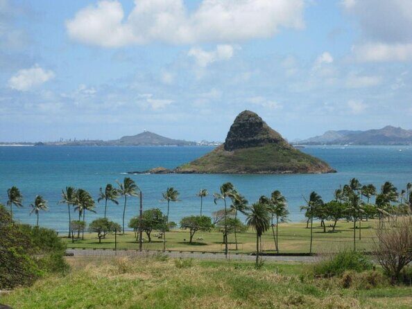 Oahu Guided Circle Island Tour, Swim w/ Turtles, Dole, Blowhole - Key Highlights Worth Knowing