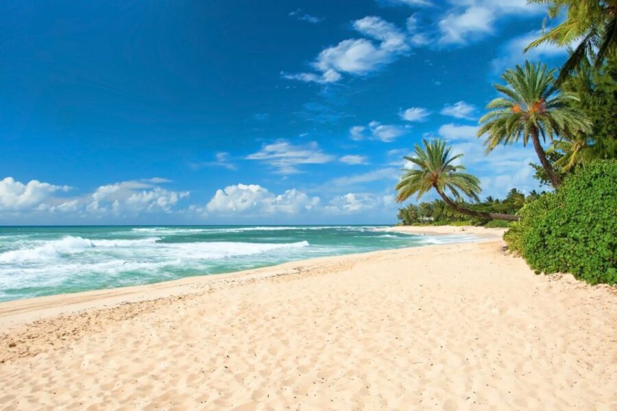 Oahu: Guided Tour of North Shore and Waimea Botanical Garden - A North Shore Day That Starts in Waikiki and Ends at Dole