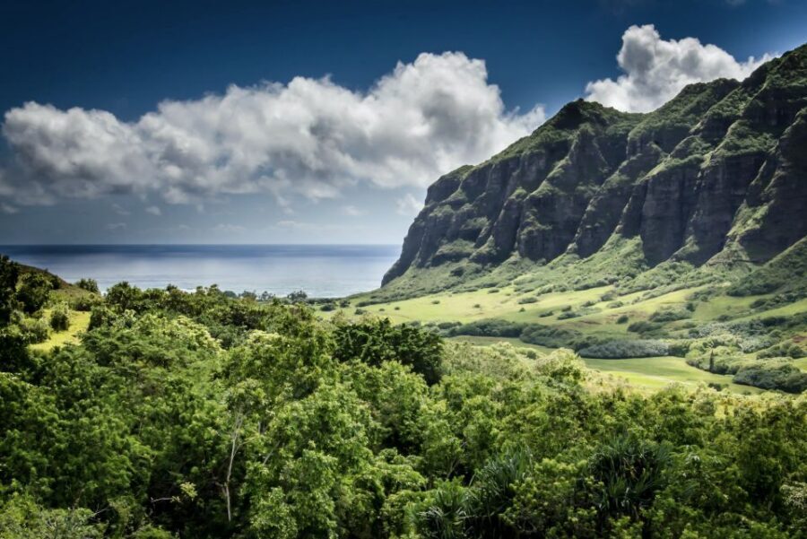 Oahu Hidden Gems & Waimea Botanical Garden/Waterfall tour - Key Highlights That Matter