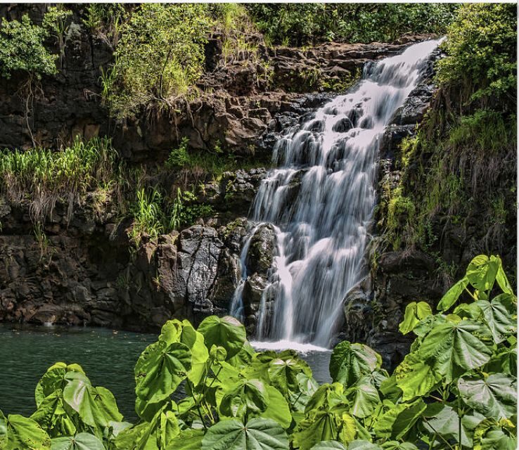 Oahu Hidden Gems & Waimea Botanical Garden/Waterfall tour - Waikiki Pickup to Island Highlights: How the Day Flows
