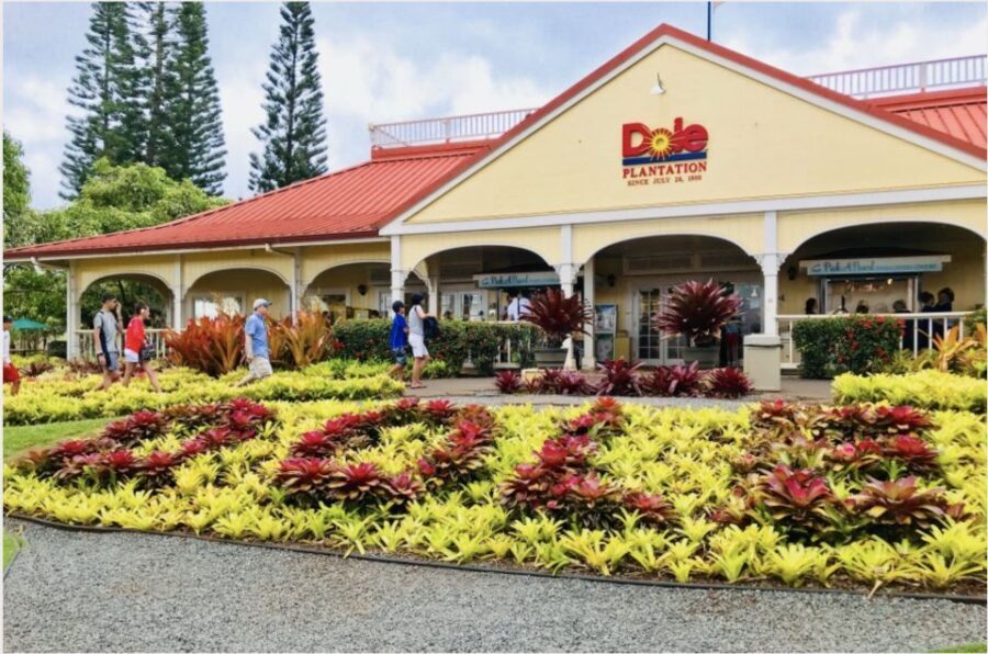 Oahu Hidden Gems & Waimea Botanical Garden/Waterfall tour - Lunch at a Hawaiian-Owned Restaurant: Bring Cash and Expect a Food Moment