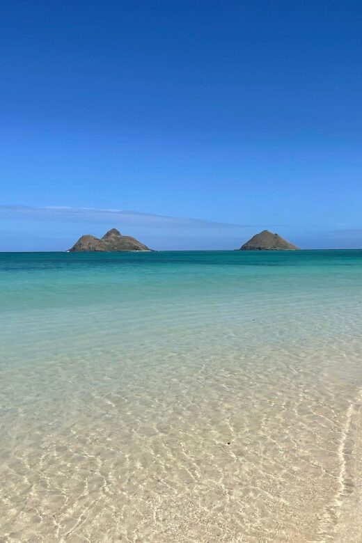Oahu: Hidden Hawaii Waterfall Hike and Beach Tour - Quick hits (what you’ll actually notice)