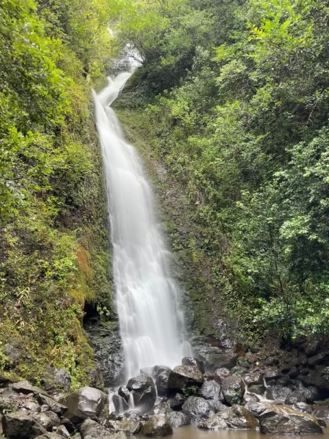 Oahu: Hidden Hawaii Waterfall Hike and Beach Tour - Lulumahu Falls: Jungle Hike, Wildlife Spots, and Mud Season Reality