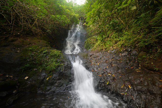 Oahu Hidden Waterfall Hike: A Tropical Paradise Adventure - Key things to know before you go