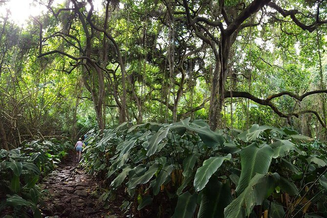 Oahu Hidden Waterfall Hike: A Tropical Paradise Adventure - Rainy Oahu reality: what to wear and how included gear helps