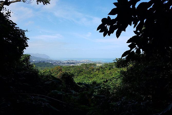 Oahu Hidden Waterfall Hike: A Tropical Paradise Adventure - Who this tour fits best (and who should skip it)