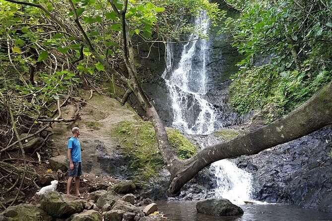 Oahu Hidden Waterfall Hike: A Tropical Paradise Adventure - Likeke Falls hiking: short distance, big waterfall payoff
