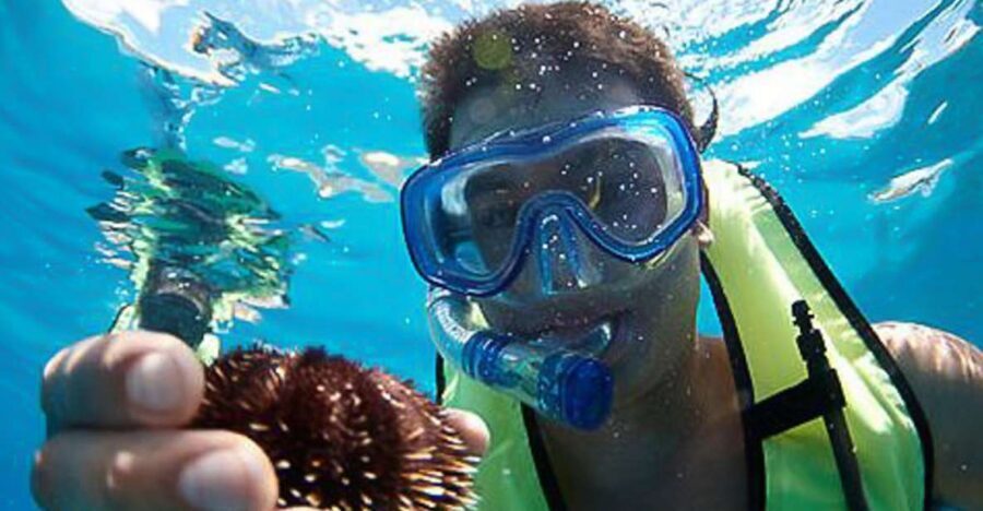 Oahu: Hilton Hawaiian Village Snorkel Tour - What You’re Really Paying For in This 2.5-Hour Snorkel Trip