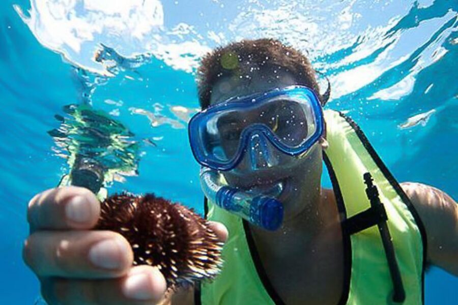 Oahu: Hilton Hawaiian Village Snorkel Tour - Snorkeling Off Waikiki: Sea Turtles and Colorful Fish