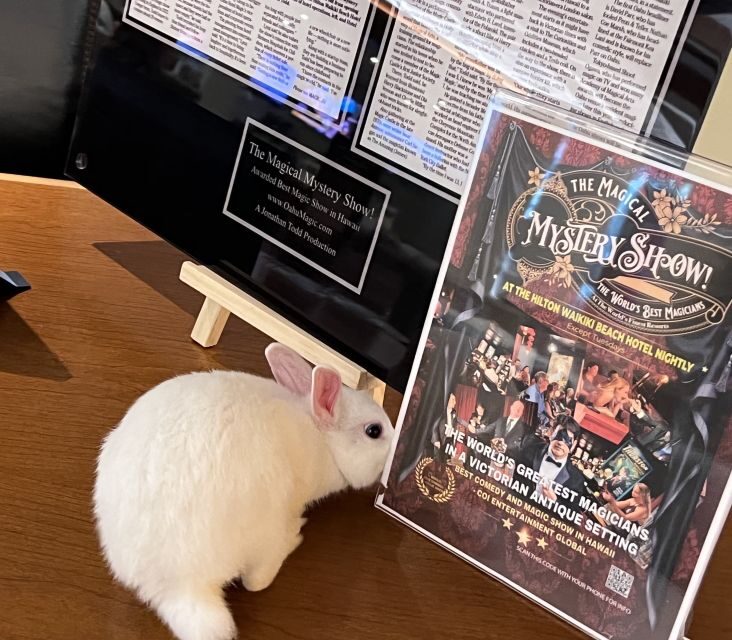 Oahu: Hilton Waikiki Beach Hotel Magical Mystery Show - Who should book this Oahu magic show (and who might skip it)