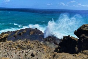 Oahu Island Experience feat the North Shore (Small Group Tour) - Pickup and timing: what the day feels like