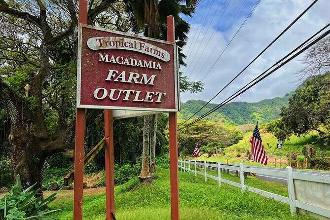 Oahu Island Experience feat the North Shore (Small Group Tour) - Tropical Farms (Macadamia Nut Farm Outlet): tastings and easy souvenirs