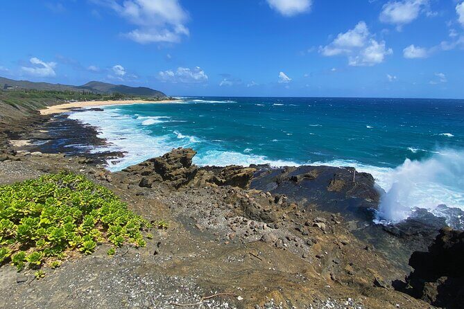 Oahu Island Experience feat the North Shore (Small Group Tour) - Kahuku Sugar Mill: where the food-truck lunch plan lives