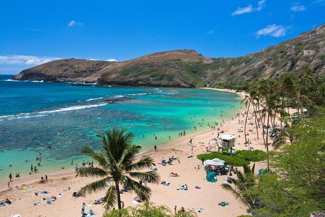 Oahu Island Full-Day Sightseeing Tour - Halona Blowhole and Makapu’u Point for Windy, Camera-Friendly Moments