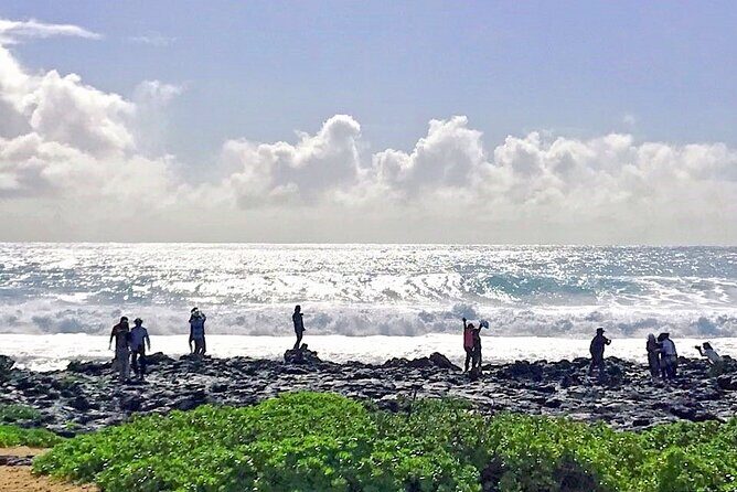 Oahu Island Sightseeing and Food Combo Tour - Hanauma Bay lookout and Halona Blowhole: dramatic water moments
