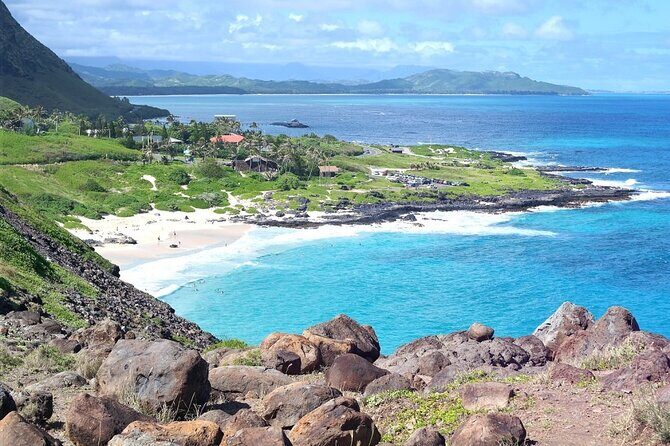 Oahu Island Sightseeing and Food Combo Tour - Tropical Farms macadamia tastings and the coffee-farm finish