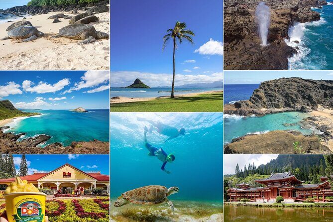 Oahu Island Tour: 13 ppl Max, Snorkel at Turtle Beach + Lunch - Key highlights worth your attention