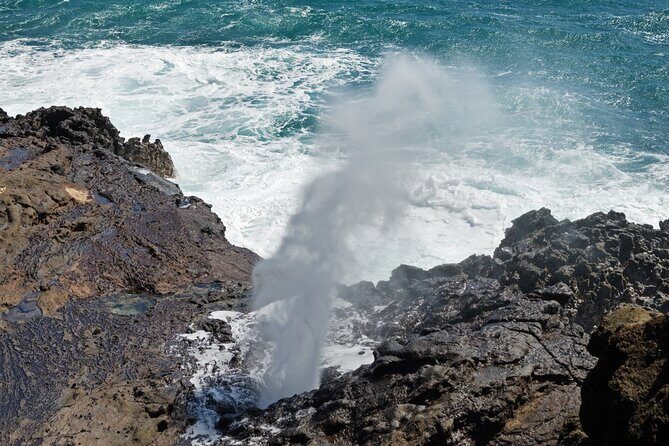 Oahu Island Tour: 13 ppl Max, Snorkel at Turtle Beach + Lunch - Turtle Beach snorkel chance: the sea turtle moment