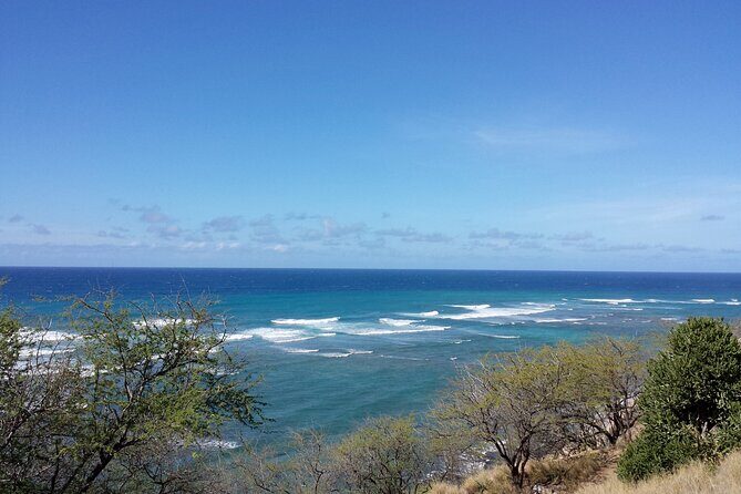 Oahu Island Tour: 13 ppl Max, Snorkel at Turtle Beach + Lunch - Pickup timing and the 5-minute rule (so you don’t lose your spot)