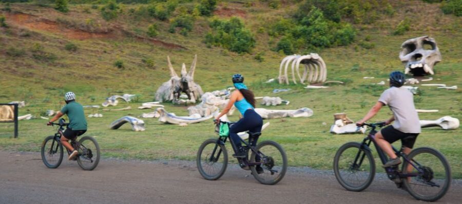 Oahu: Kualoa Electric Bike Tour - Key Highlights Worth Planning For