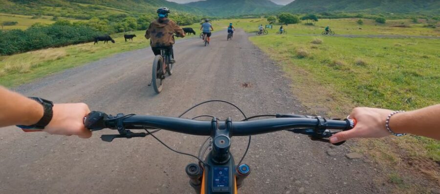 Oahu: Kualoa Electric Bike Tour - Price and Value: Is $131 Worth It?
