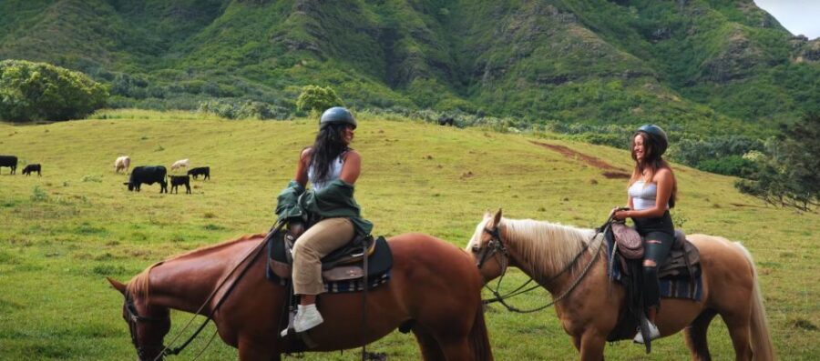 Oahu: Kualoa Hills and Valleys Horseback Riding Tour - Price and Value: Is $162 Worth It?