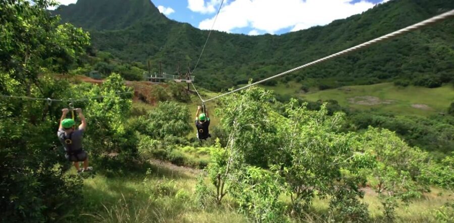 Oahu: Kualoa Jurassic Valley Zipline Tour - Hawaiian Culture, Flora, and Fauna on the Route