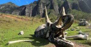Oahu: Kualoa Movie Sites, Jungle, and Buffet Tour Package - Hakipu’u Rainforest Jungle Expedition: 90 Minutes of Trails, Streams, and Hills