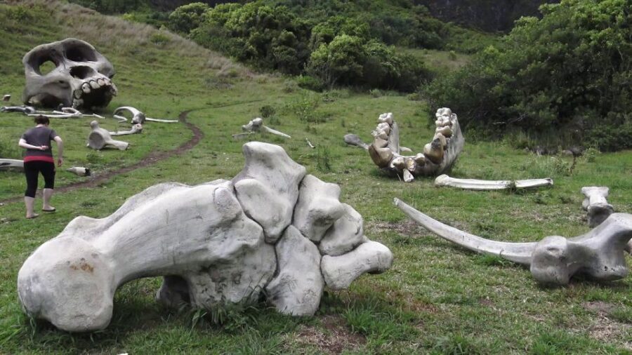Oahu: Kualoa Movie Sites, Jungle, and Buffet Tour Package - Getting There: Secret Island Check-In and the 45-Minute Rule