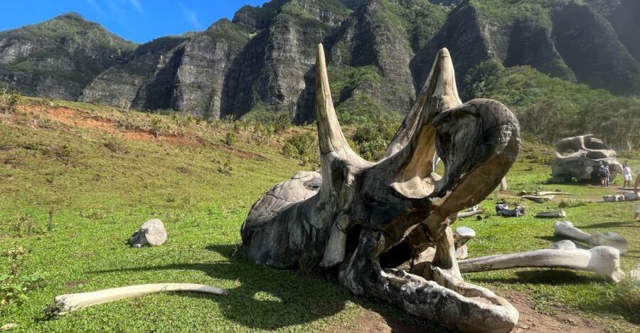 Oahu: Kualoa Movie Sites, Jungle, and Buffet Tour Package - Hakipu’u Rainforest Jungle Expedition: 90 Minutes of Trails, Streams, and Hills
