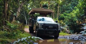 Oahu: Kualoa Open Air Jungle Expedition Tour - Rough roads and open-air views in the Hakipuu rainforest