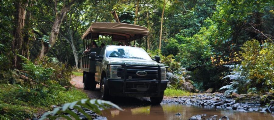 Oahu: Kualoa Open Air Jungle Expedition Tour - Trail stops, stream beds, and why your camera matters