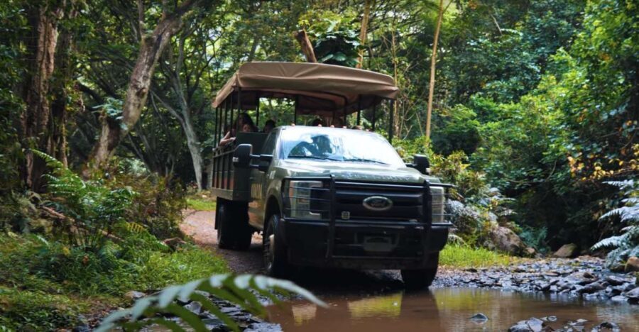 Oahu: Kualoa Open Air Jungle Expedition Tour - Rough roads and open-air views in the Hakipuu rainforest
