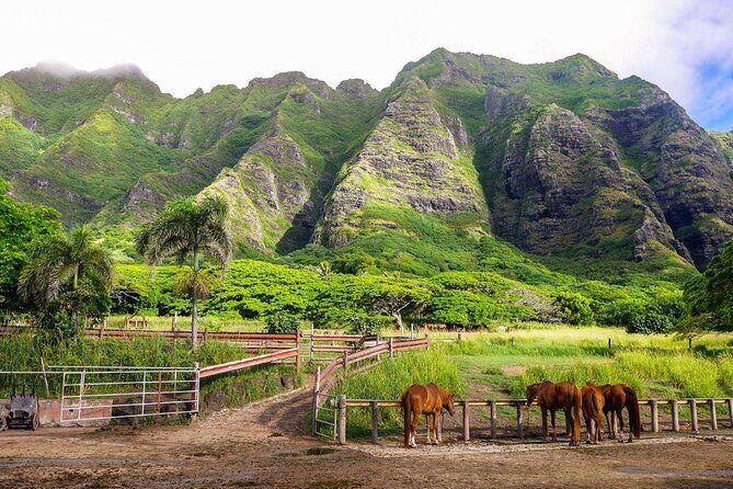 Oahu: Kualoa Ranch UTV Raptor Tour - Price and What You Actually Get for About $185.54