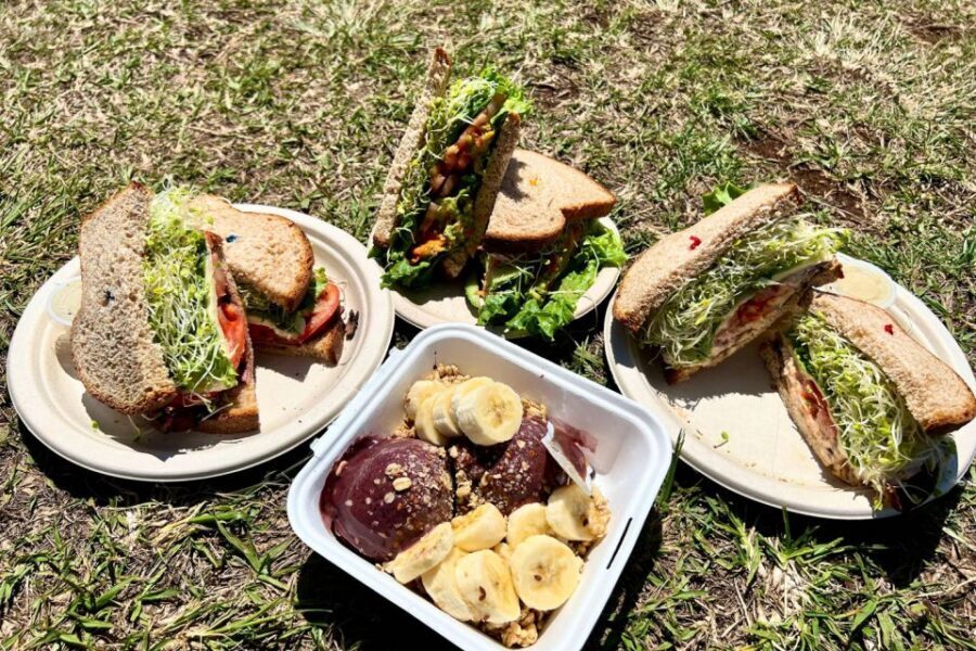 Oahu: Manoa Falls Waterfall Hike with Lunch and Transfers - Key highlights that make this one worth your time