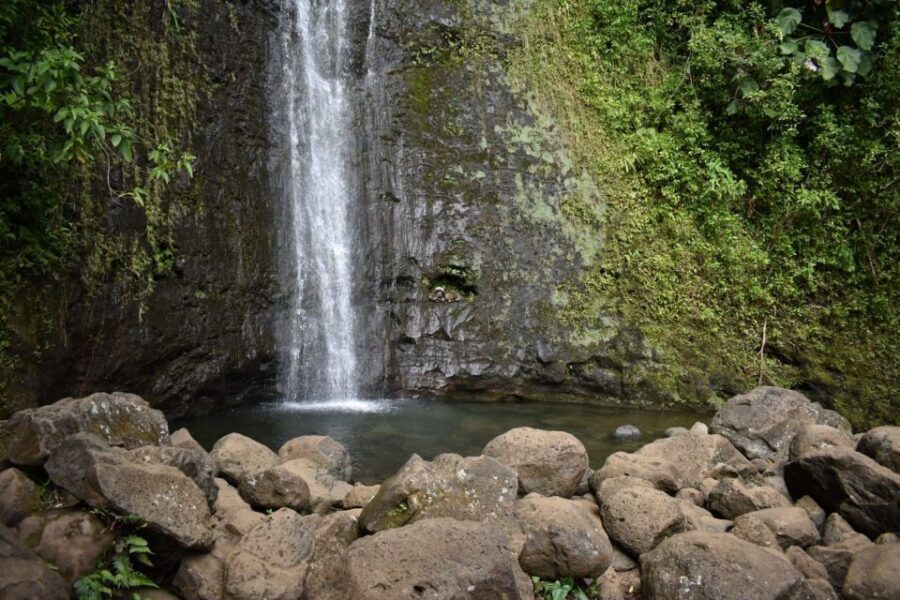 Oahu: Manoa Falls Waterfall Hike with Lunch and Transfers - Should you book Manoa Falls with lunch and transfers?
