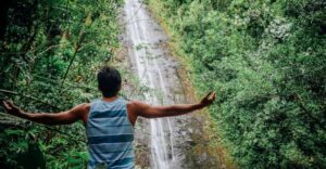 Oahu: Manoa Falls Waterfall Hike with Lunch and Transfers - Getting from Waikiki without eating your whole day