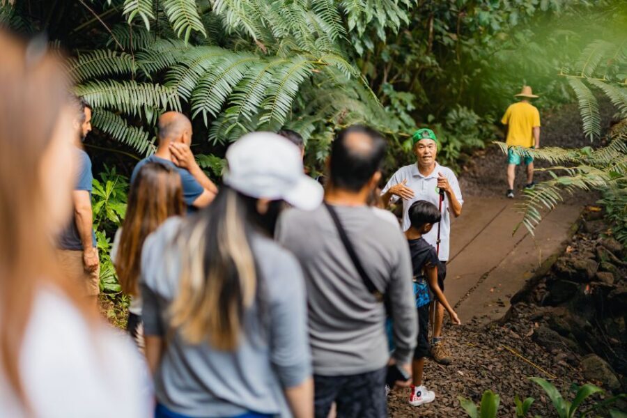 Oahu: Manoa Falls Waterfall Hike with Lunch and Transfers - The waterfall moment: Manoa Falls, 150 feet of real power