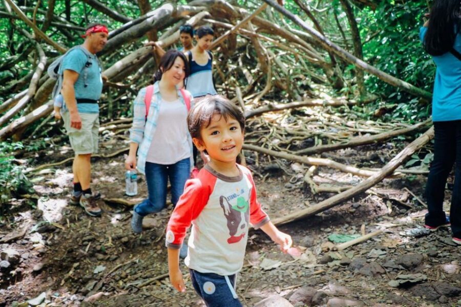 Oahu: Manoa Falls Waterfall Hike with Lunch and Transfers - Tantalus Lookout lunch: Diamond Head views that make the hike feel complete