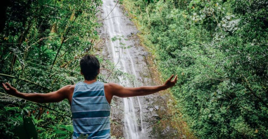 Oahu: Manoa Falls Waterfall Hike with Lunch and Transfers - Getting from Waikiki without eating your whole day
