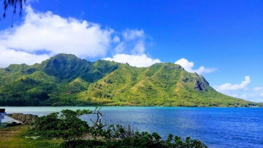 Oahu: North Shore Circle Island Small-Group Tour - Sunset Beach and Waimea Bay: where the day shifts into surf mode