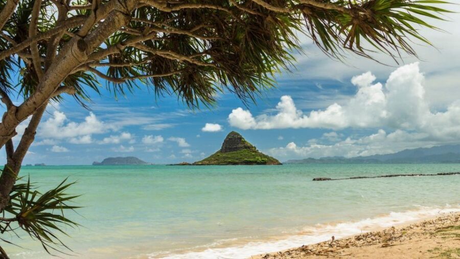 Oahu: North Shore Circle Island Small-Group Tour - First stops: Waikiki icons and the wall of views