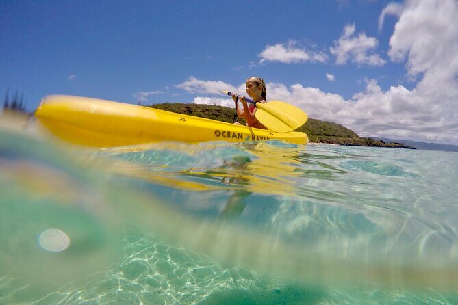 Oahu North Shore Experience: Activities, Waterfall & Free Time - Waikiki to North Shore: what this Surf Bus day trip really delivers