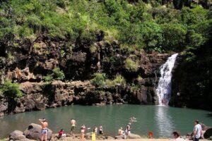 Oahu North Shore Experience: Activities, Waterfall & Free Time - Price and value: why $167.53 can make sense here