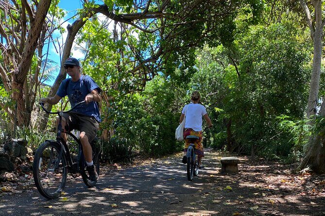 Oahu North Shore Experience: Activities, Waterfall & Free Time - Tropical Farms (Macadamia stop): the quick local flavor you’ll feel all day