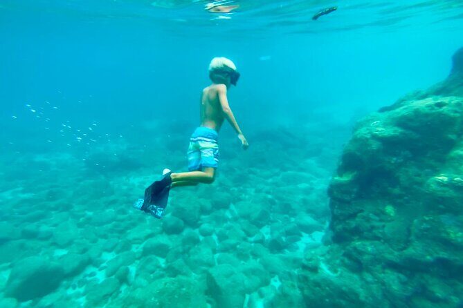 Oahu North Shore Experience: Activities, Waterfall & Free Time - Waimea Bay and Waimea Valley: the nature-and-water zone