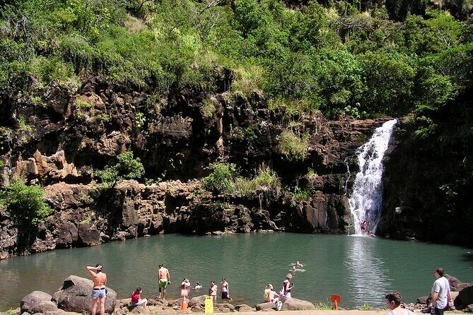 Oahu North Shore Experience: Activities, Waterfall & Free Time - Price and value: why $167.53 can make sense here