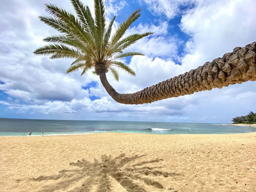 Oahu: North Shore Experience and Dole Plantation - Waikiki Pickup to the North Shore: How the 8 Hours Work
