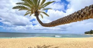 Oahu: North Shore Experience and Dole Plantation - Halona Blowhole and Cove: The Pacific’s Loudest Photo Stop